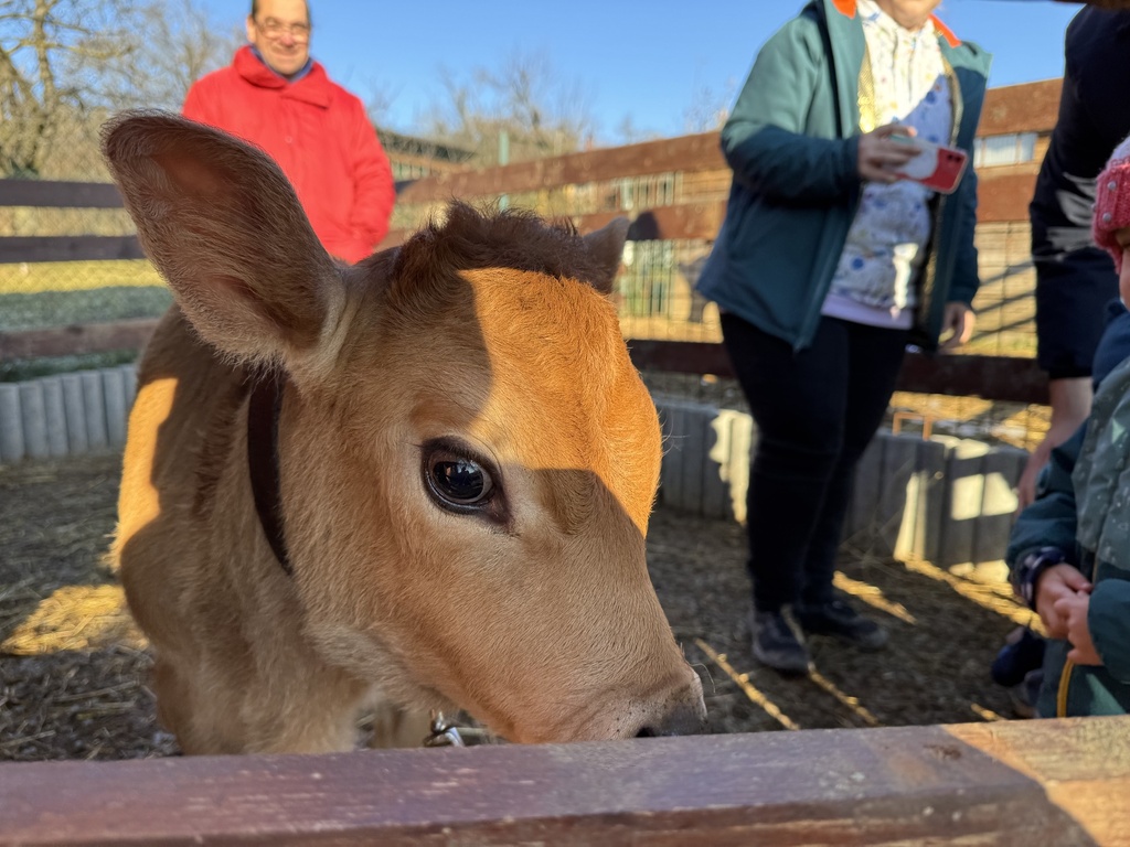 [CLEN_2025] Členství 2025