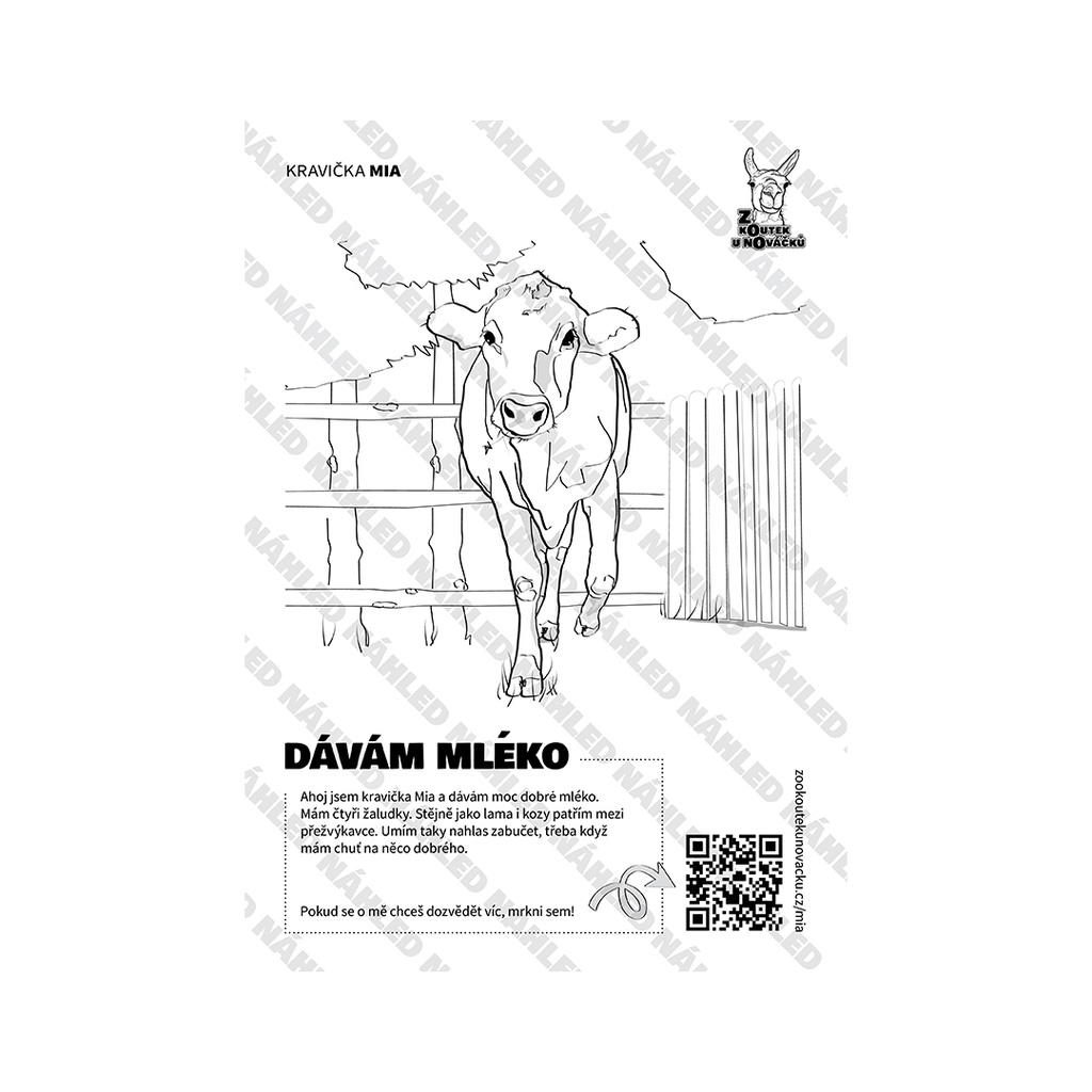[OML-MIA] Omalovánka A4 — Kravička Mia (PDF ke stažení)