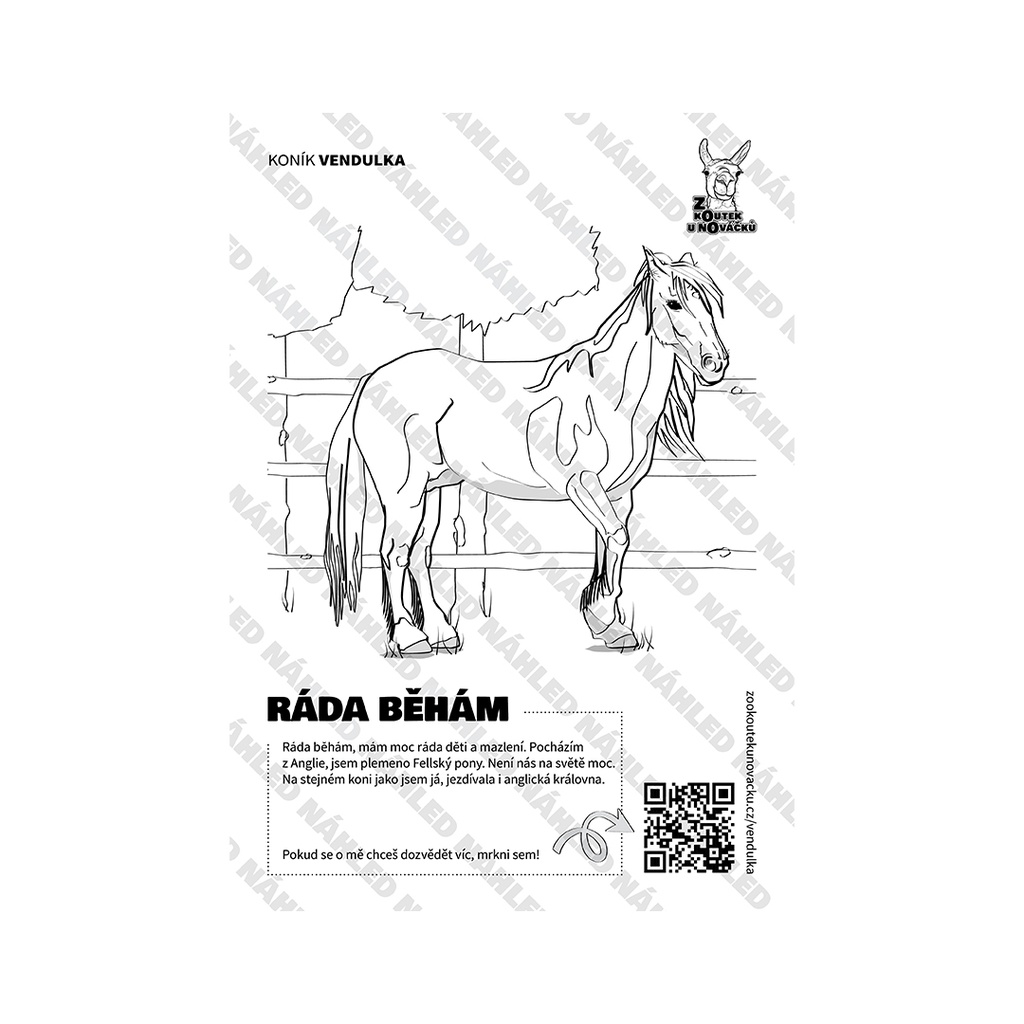 [OML-VENDULKA] Omalovánka A4 — Kůň Vendulka (PDF ke stažení)