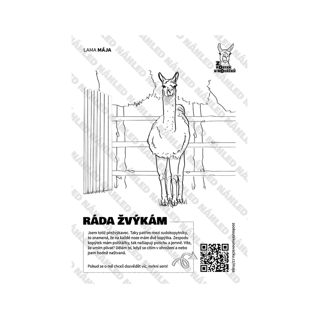 [OML-MAJA] Omalovánka A4 — Lama Mája (PDF ke stažení)