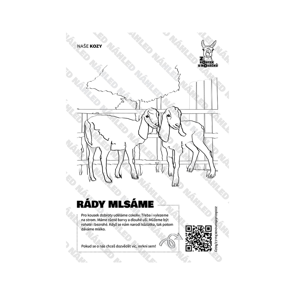 [OML-KOZY] Omalovánka A4 — Kozy ze Zookoutku (PDF ke stažení)