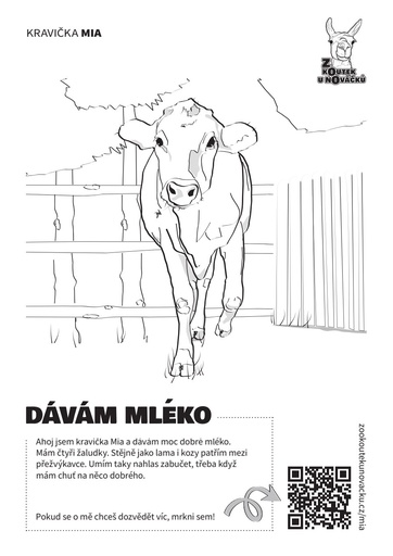 Kravička Mia — omalovánka